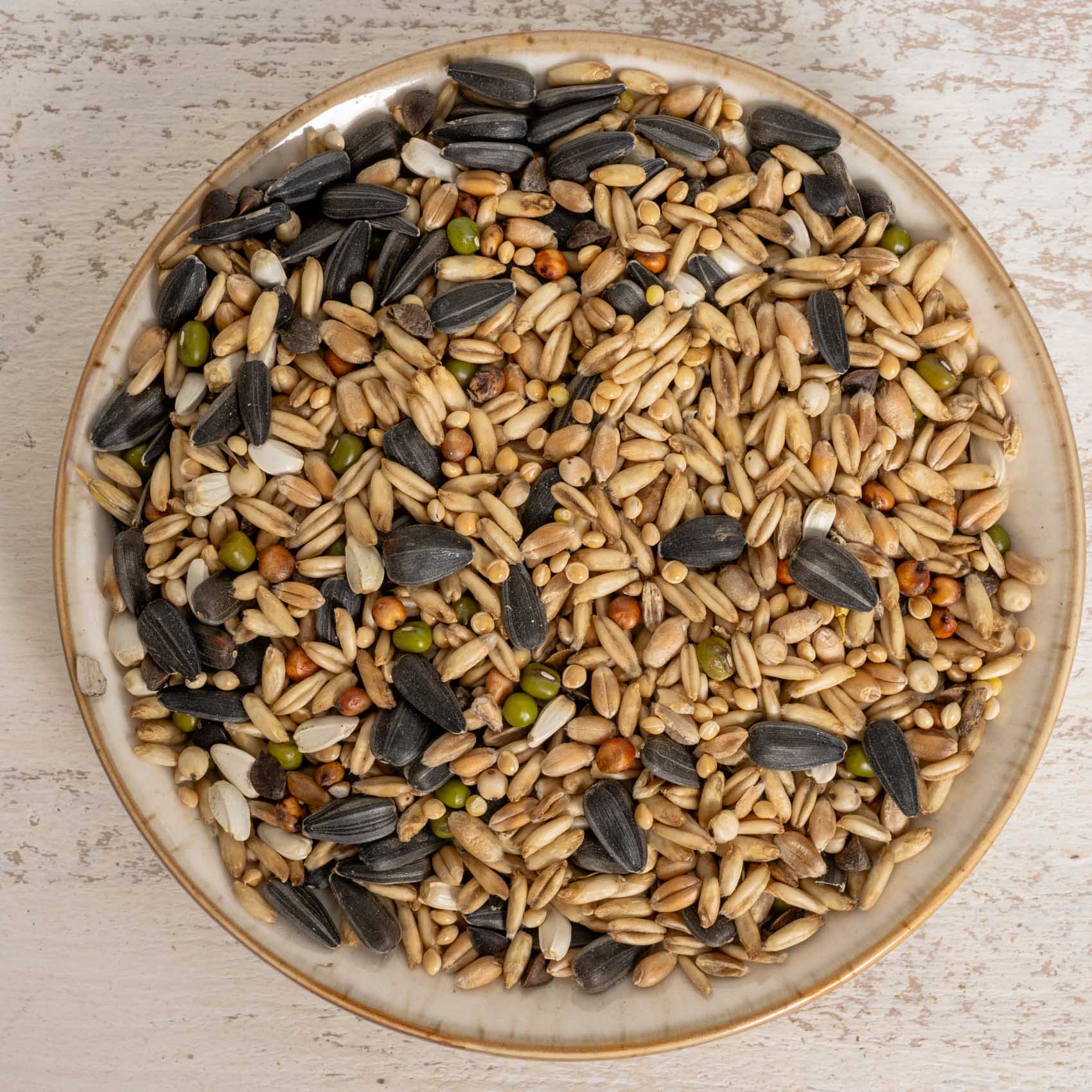 Keimfutter für Großsittiche