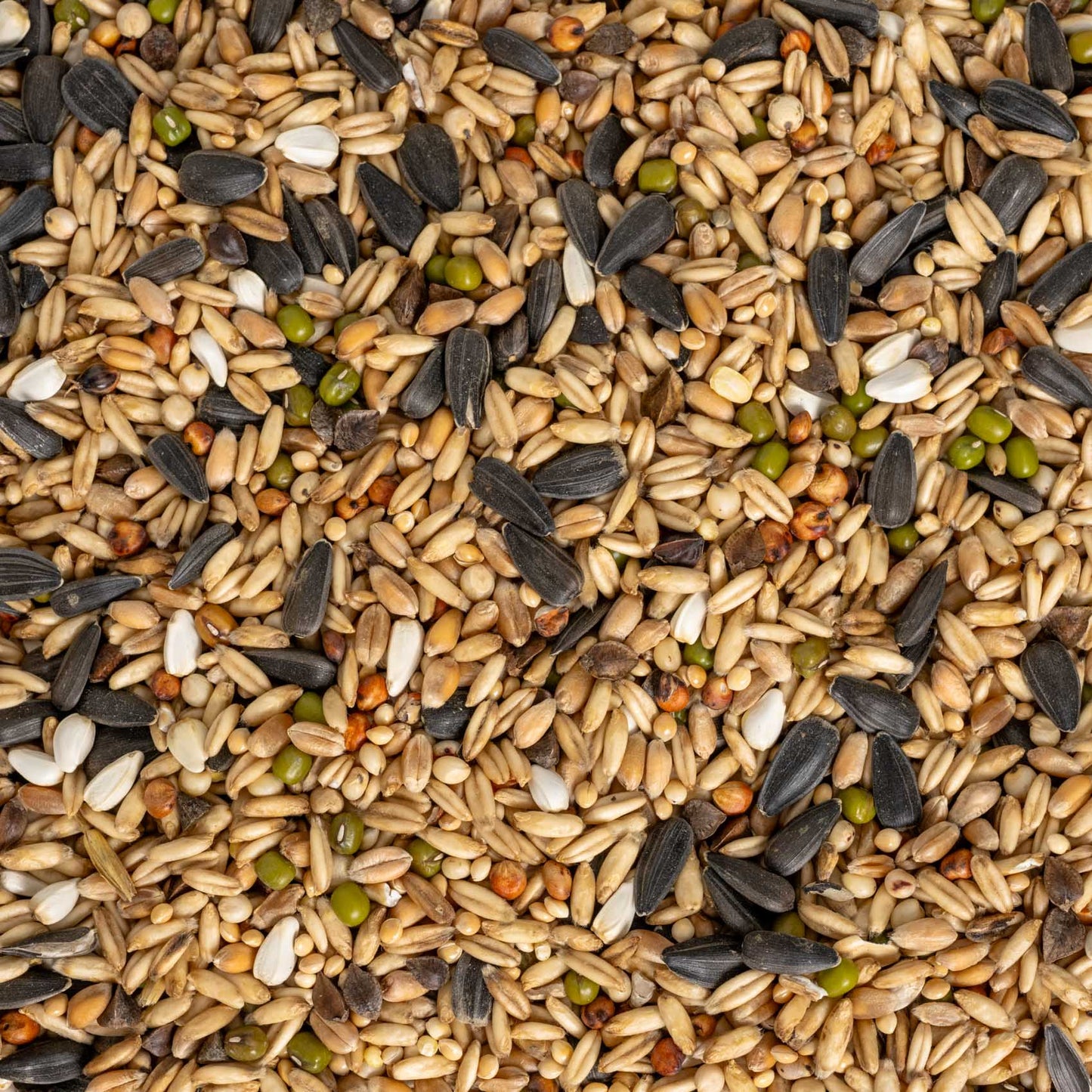 Keimfutter für Großsittiche