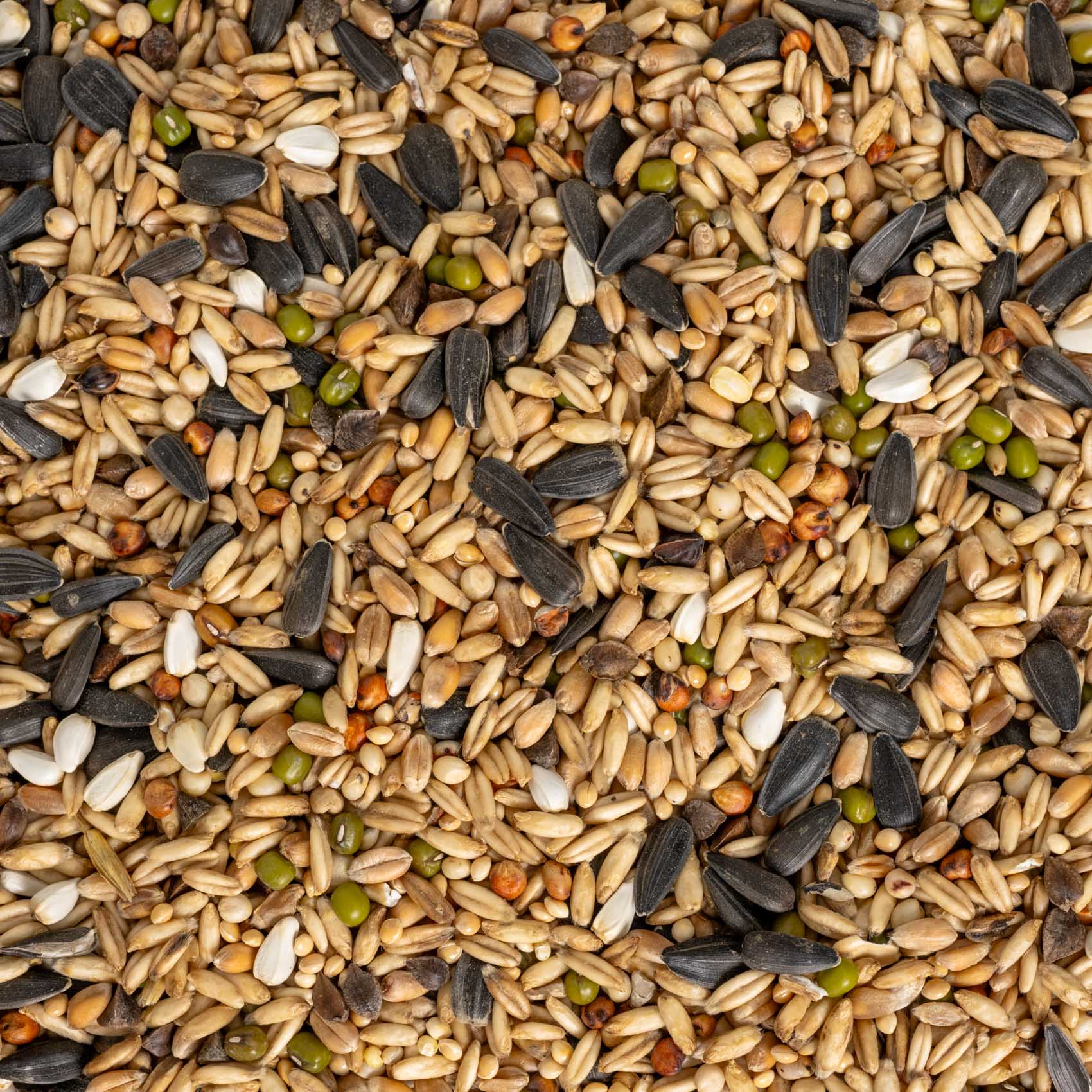 Keimfutter für Großsittiche