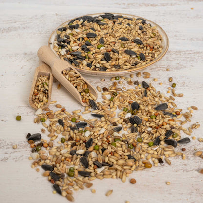 Keimfutter für Großsittiche