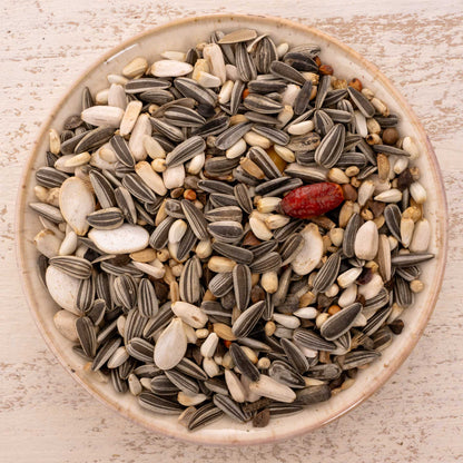 Graupapagei Spezial Papageienfutter – Premium-Körnerfutter naturbelassen