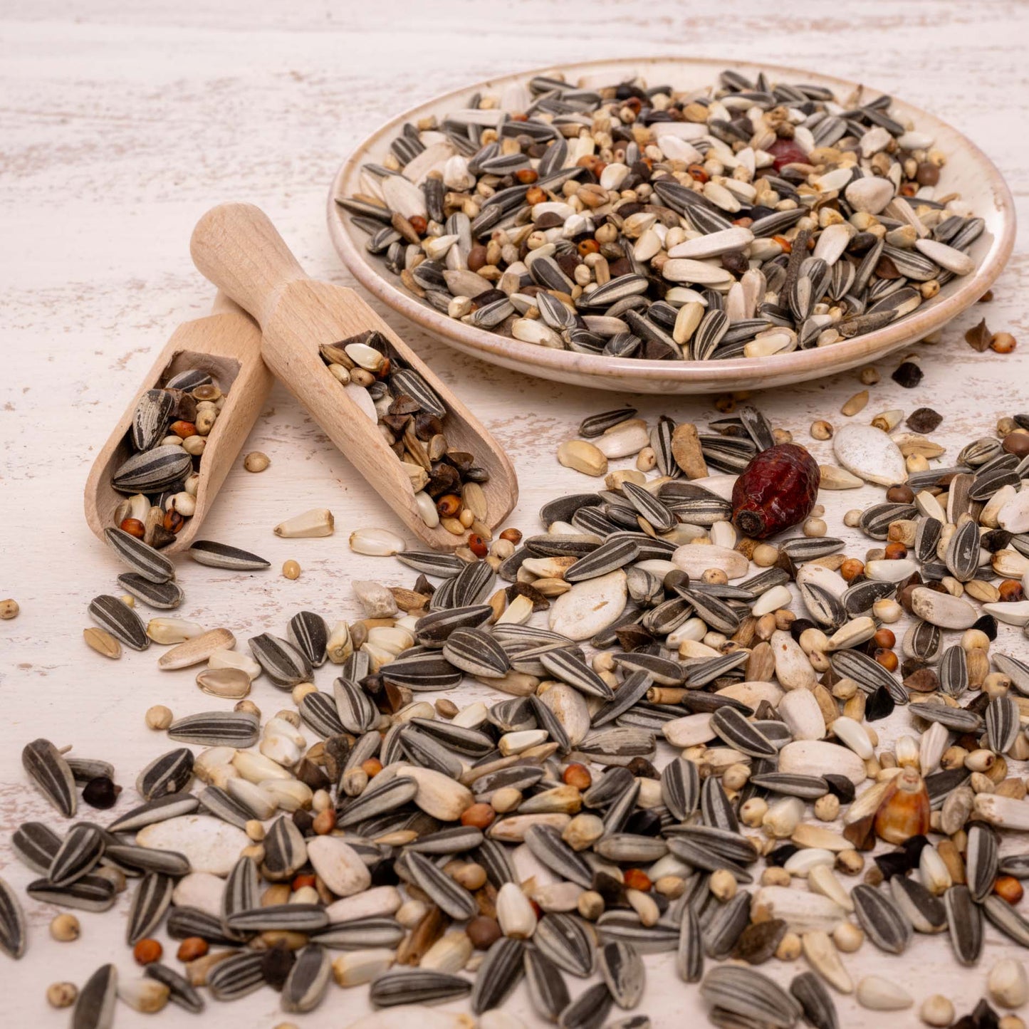 Graupapagei Spezial Papageienfutter – Premium-Körnerfutter naturbelassen