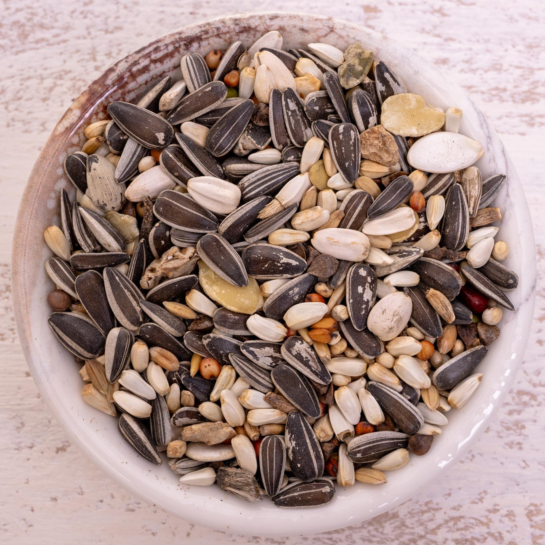 Graupapagei Spezial 2 – Papageienfutter und Premium-Körnerfutter für Graupapageien & Aras