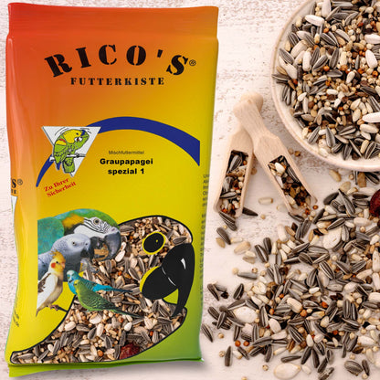 Futter für Graupapageien – Papageienfutter