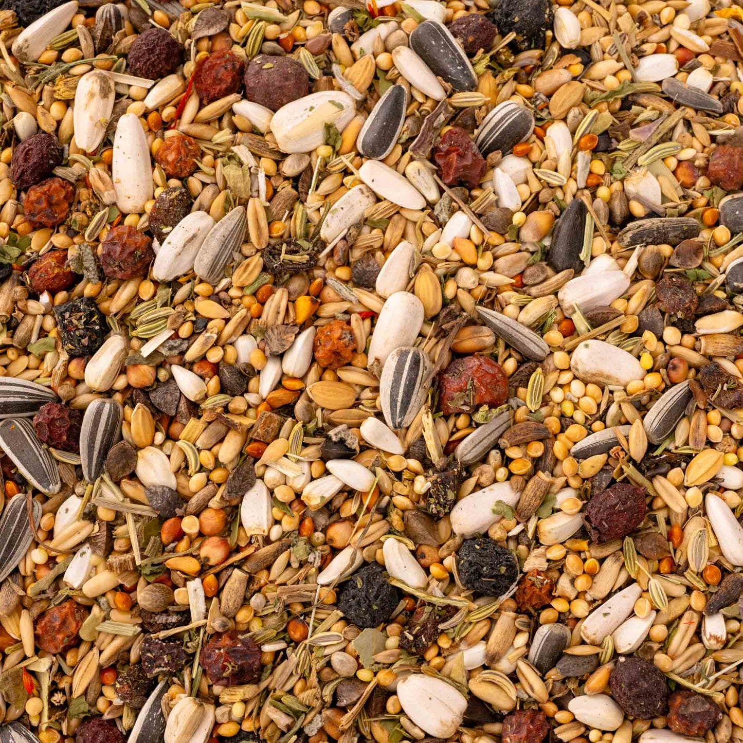 Kräuterapotheke Großsittich – hochwertiges Großsittichfutter und Körnermischung mit Kräutern & Beeren