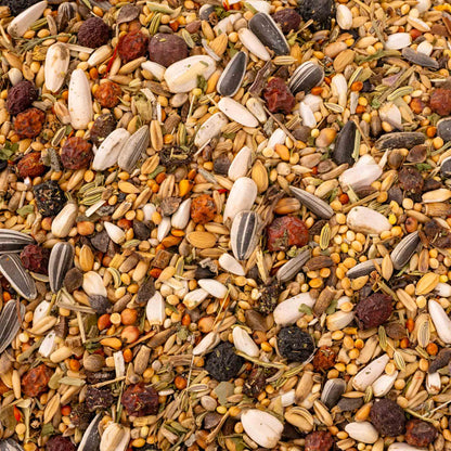 Kräuterapotheke Großsittich – hochwertiges Großsittichfutter und Körnermischung mit Kräutern & Beeren