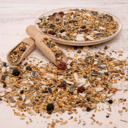 Kräuterapotheke Großsittich – hochwertiges Großsittichfutter und Körnermischung mit Kräutern & Beeren