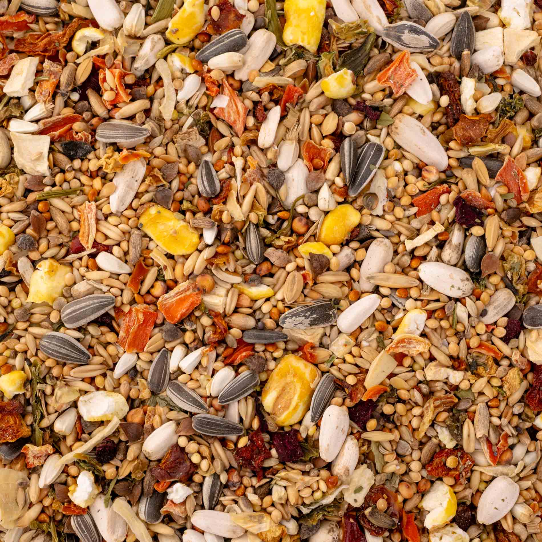 Gemüsegarten Großsittiche – hochwertiges Großsittichfutter und Körnermischung mit Gemüse