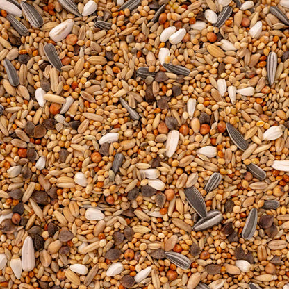 Papageienfutter für alle Großsittiche – hochwertige Premium-Körnermischung