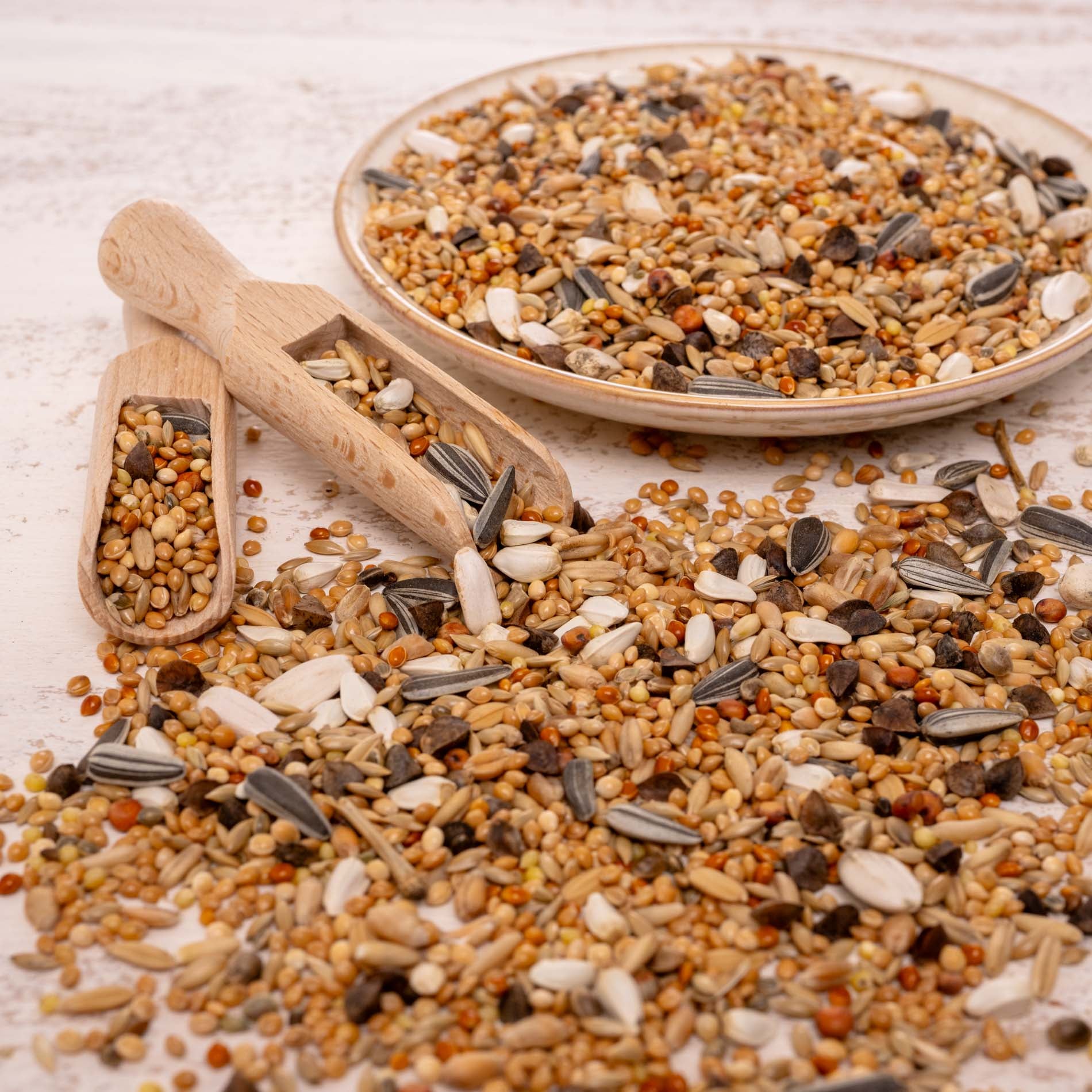 Saatenmischung für alle Großsittiche – hochwertige Premium-Körnermischung