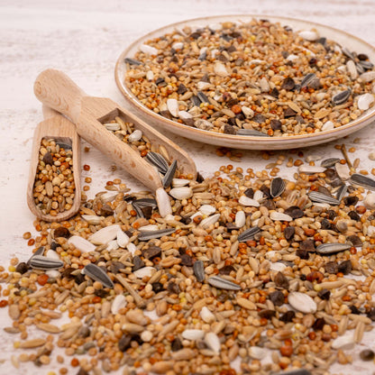 Saatenmischung für alle Großsittiche – hochwertige Premium-Körnermischung
