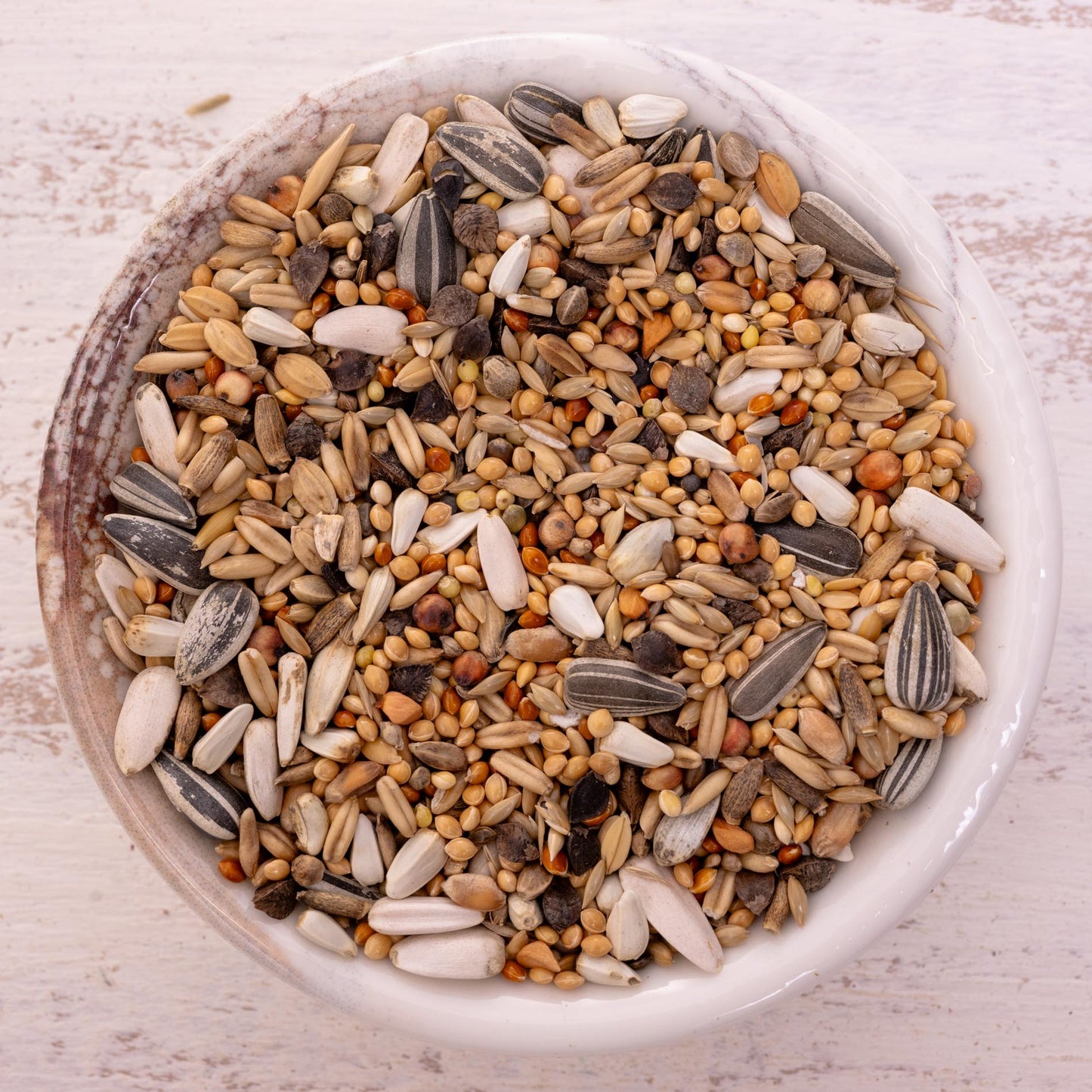 Großsittich Spezial 2 – vielfältige Körnermischung