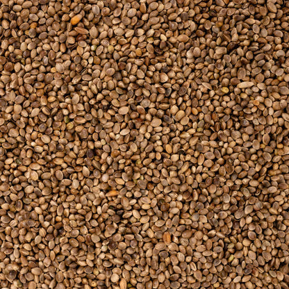 Hanf – Papageienfutter