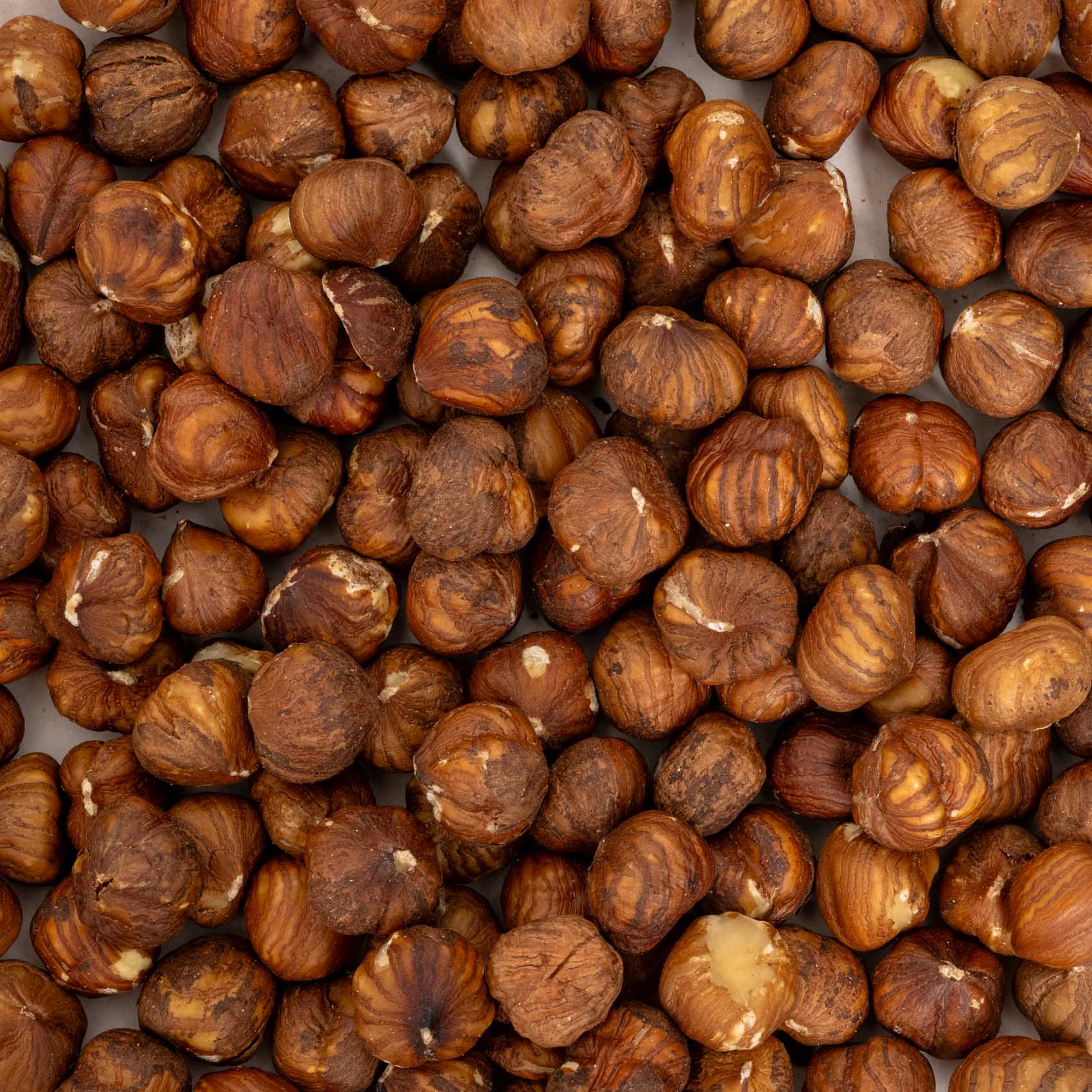 Haselnusskerne – Naturbelassener Energiespender für Papageien