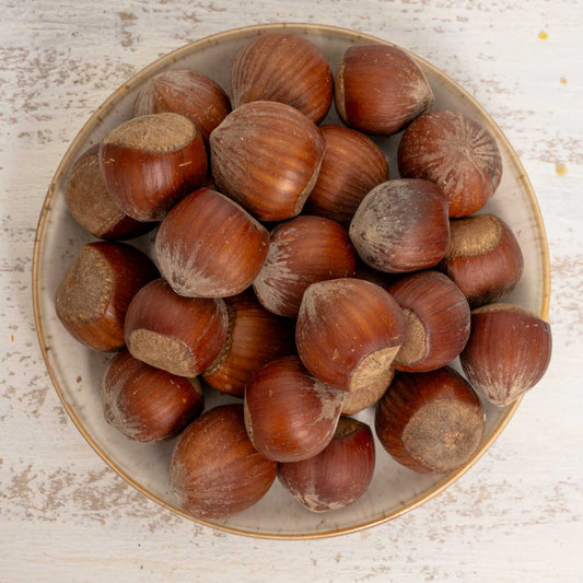 Haselnüsse mit Schale – Natürlicher Knabberspaß für Papageien