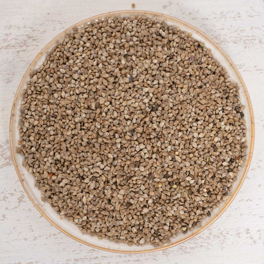 Japanhirse – Papageienfutter & Sittichfutter