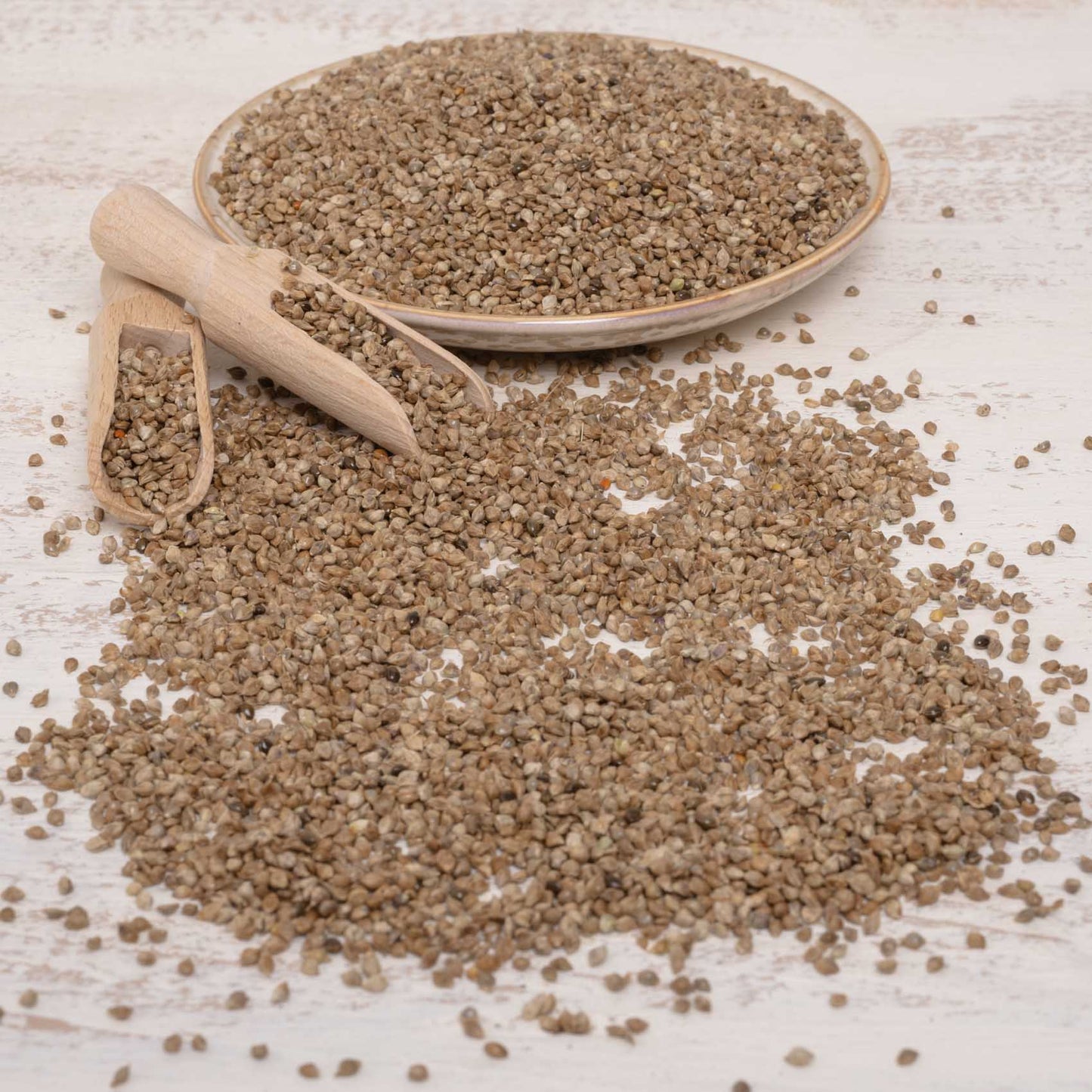 Japanhirse – Papageienfutter & Sittichfutter