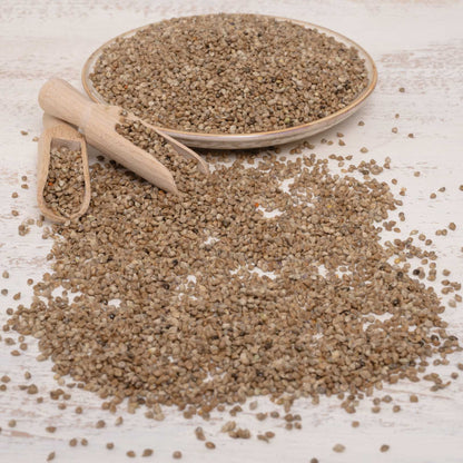 Japanhirse – Papageienfutter & Sittichfutter