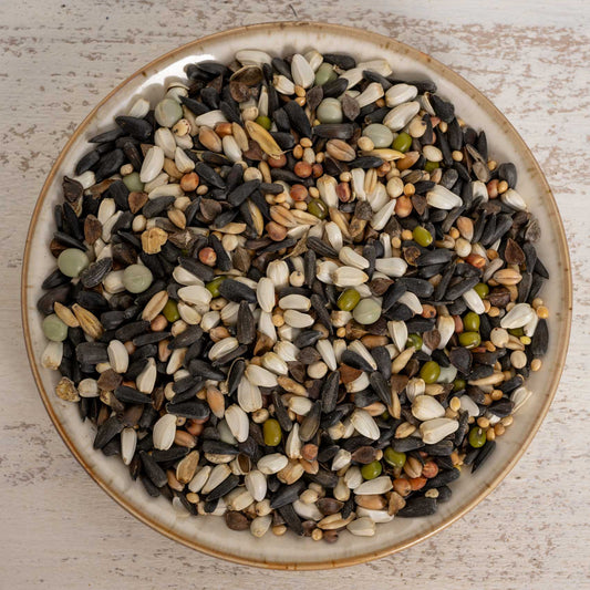 Keimfutter für kleine Papageien und Großsittiche