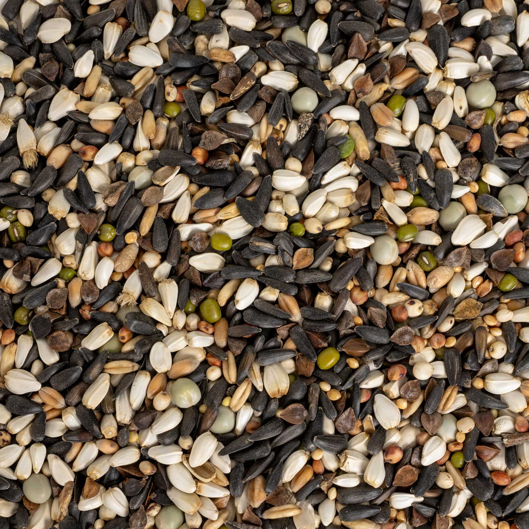 Keimfutter für kleine Papageien und Großsittiche