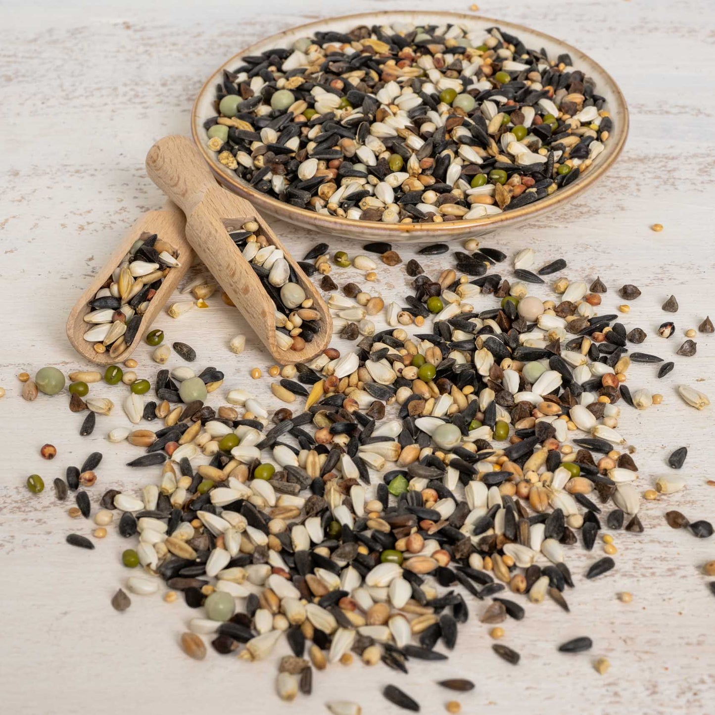 Keimfutter für kleine Papageien und Großsittiche