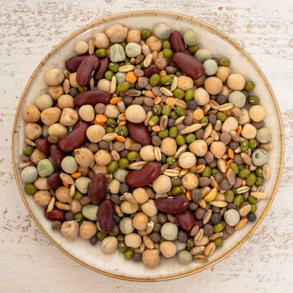 Keimfutter mit Hülsenfrüchten – nährstoffreiche Ergänzung für mittelgroße & große Papageien