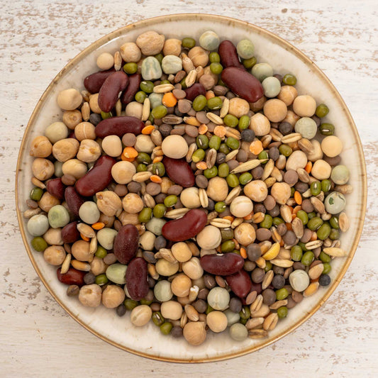 Keimfutter mit Hülsenfrüchten – nährstoffreiche Ergänzung für mittelgroße & große Papageien