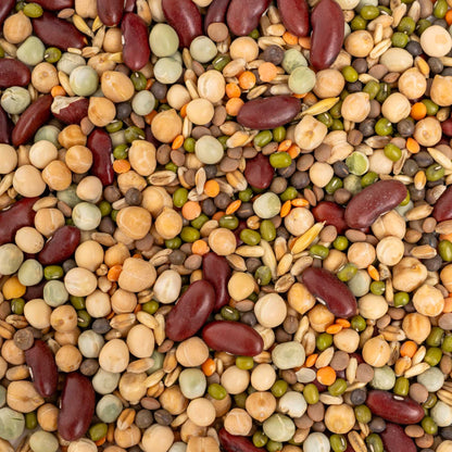 Keimfutter mit Hülsenfrüchten – für mittelgroße & große Papageien