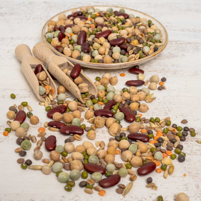 Keimfutter mit Hülsenfrüchten – für mittelgroße & große Papageien