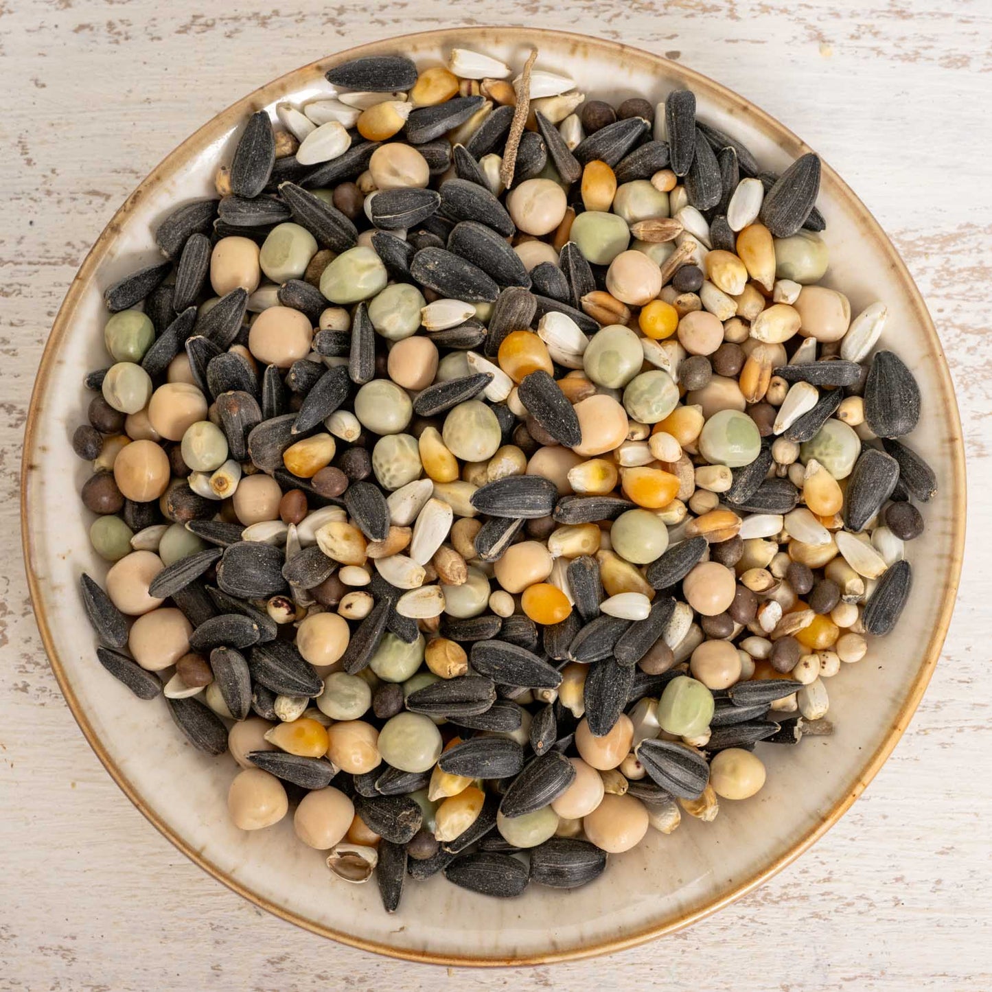 Keimfutter für mittelgroße & große Papageien – nährstoffreiche Ergänzung