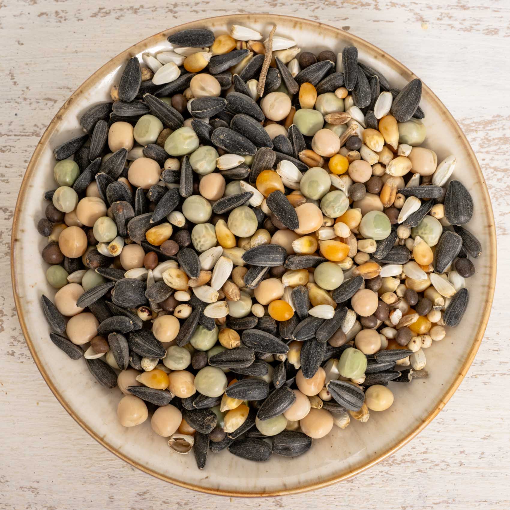 Keimfutter für mittelgroße & große Papageien – nährstoffreiche Ergänzung