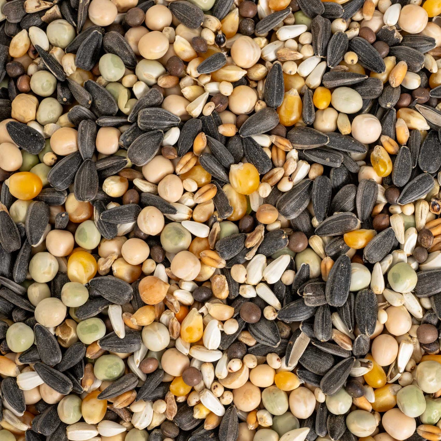 Keimfutter für mittelgroße & große Papageien 