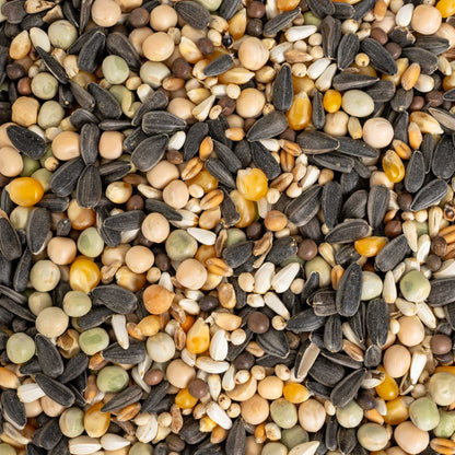 Keimfutter für mittelgroße & große Papageien 