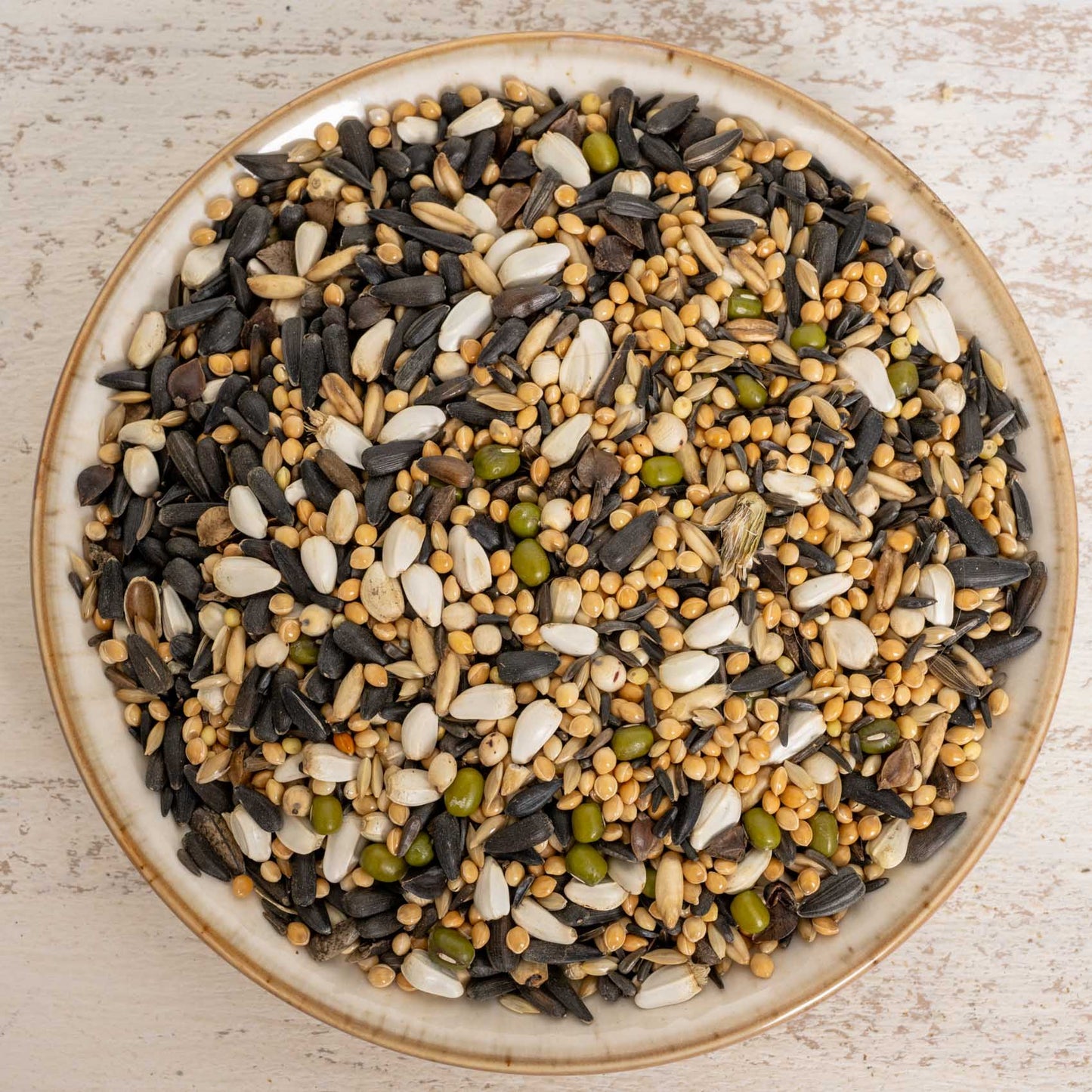 Keimfutter für Kleinsittiche