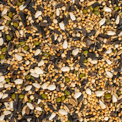 Keimfutter für Kleinsittiche