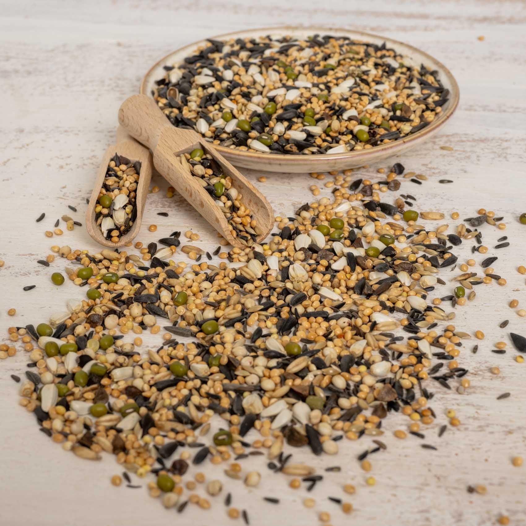 Keimfutter für Kleinsittiche