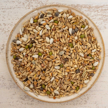 Keimfutter für Wellensittiche – nährstoffreiche Ergänzung durch Keimprozess