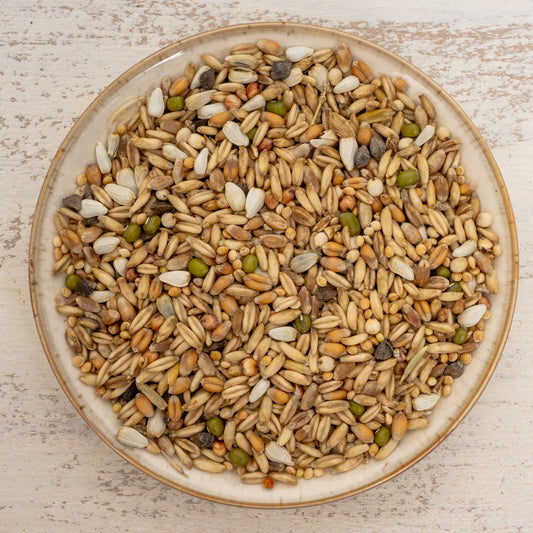 Keimfutter für Wellensittiche – nährstoffreiche Ergänzung durch Keimprozess