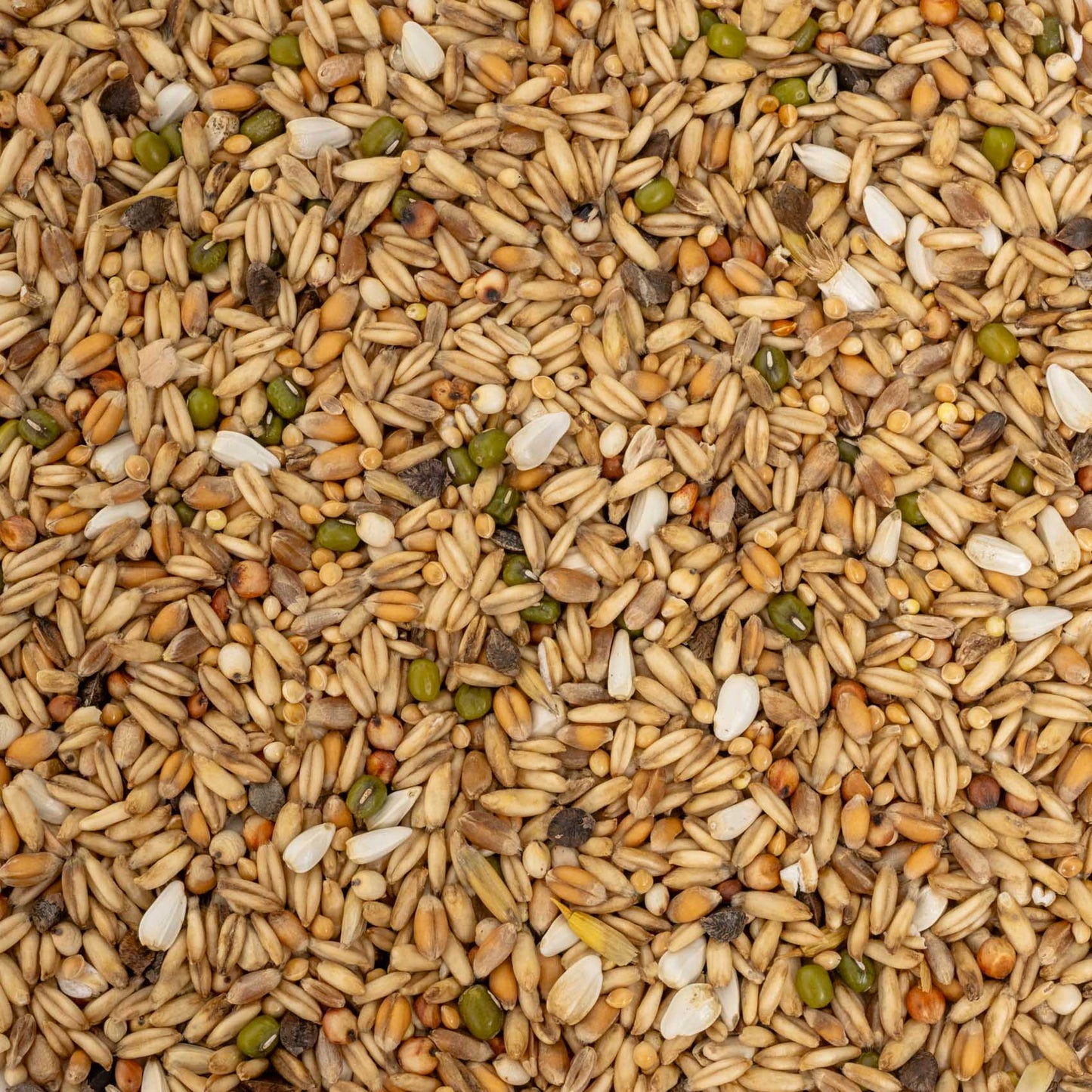 Keimfutter für Wellensittiche 