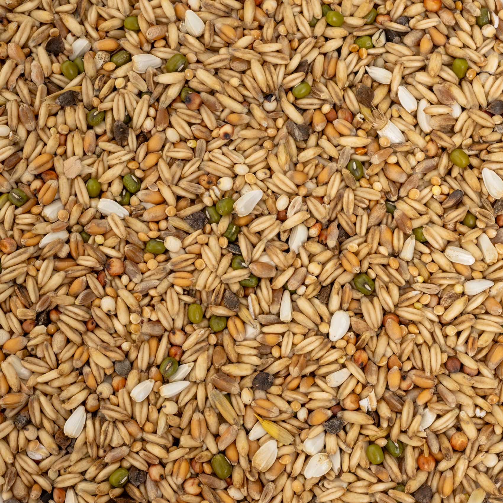 Keimfutter für Wellensittiche 
