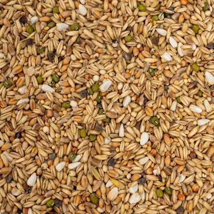 Keimfutter für Wellensittiche 