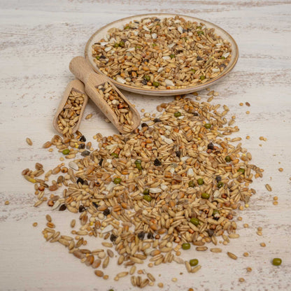 Keimfutter für Sittiche – nährstoffreiche Ergänzung