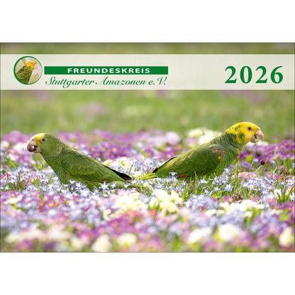 Kalender "Stuttgarter Amazonen" *NEU*