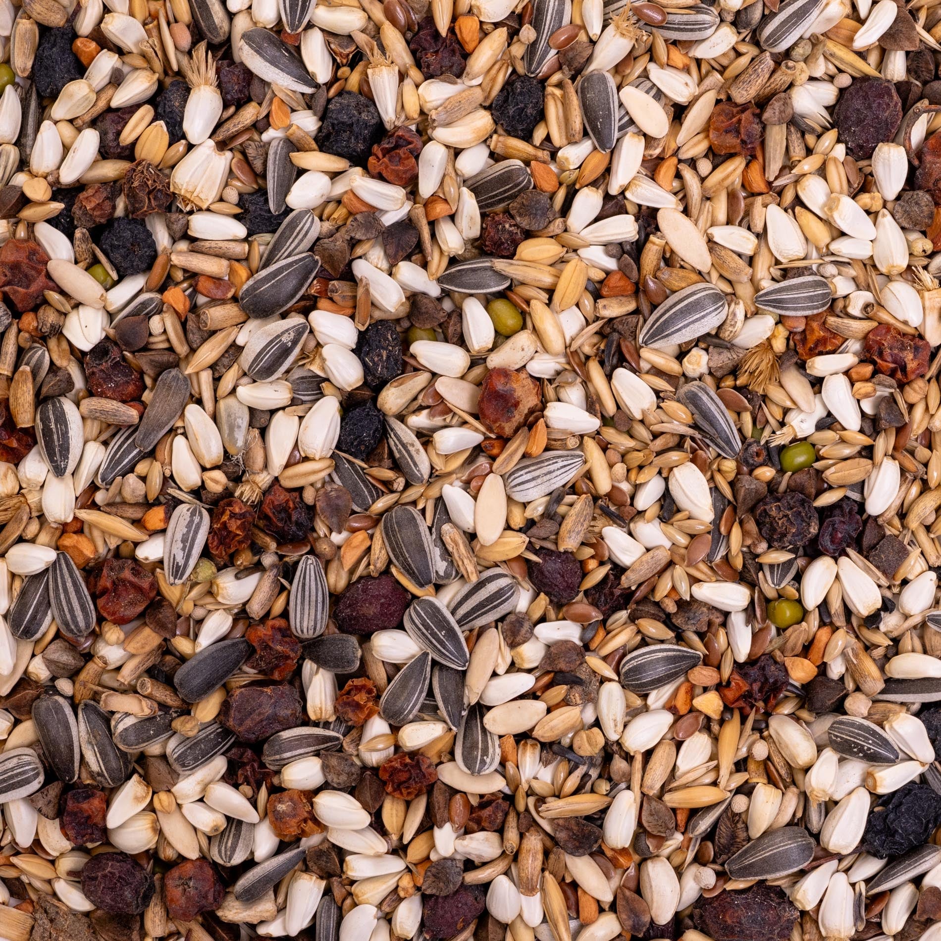 Knusperträume – Premium-Körnermischung & Papageienfutter (Vogelfutter)