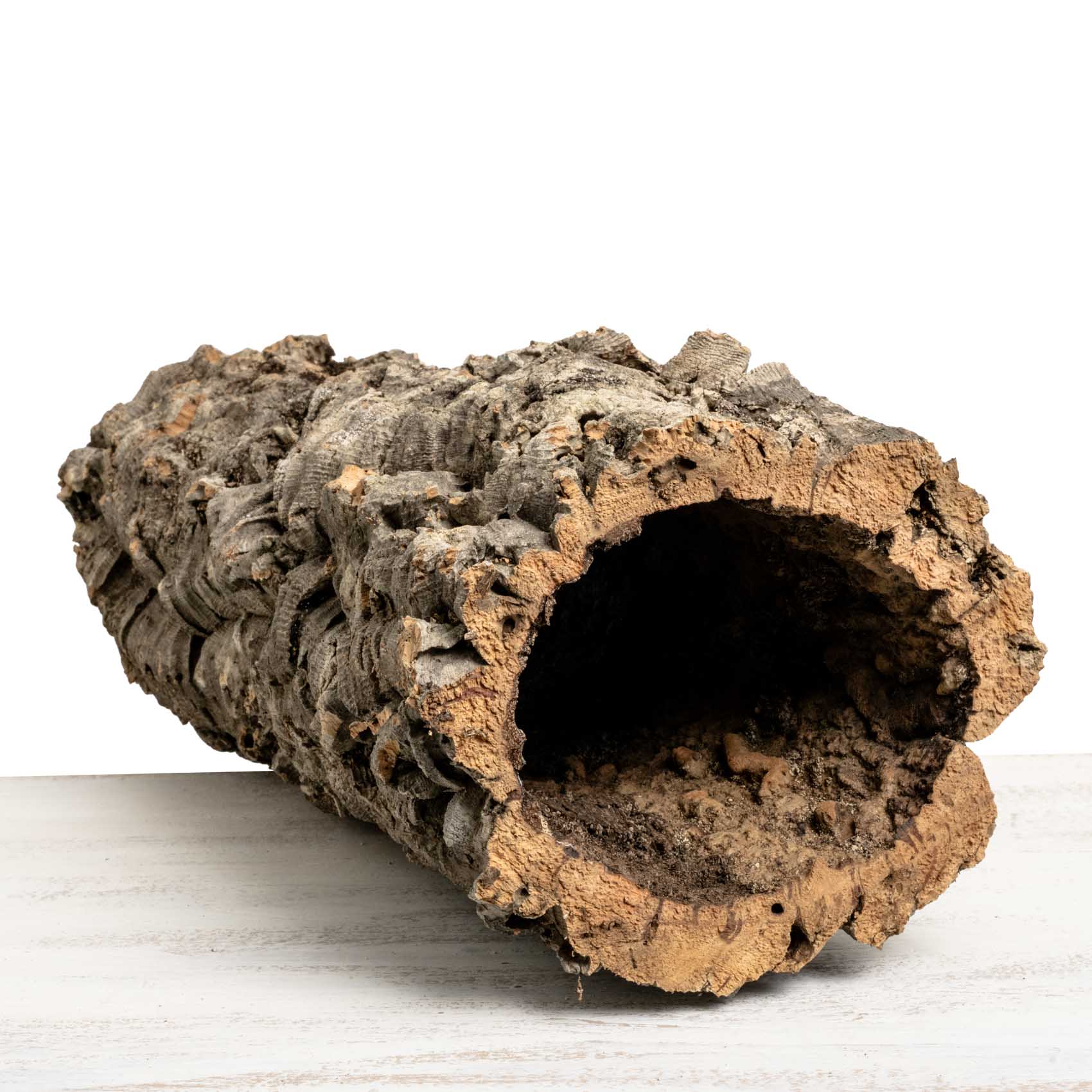 Korkröhre für Sittiche und Papageien