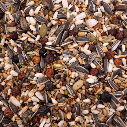 Kräuterapotheke Graupapagei – Papageienfutter mit Kräutern und Beeren