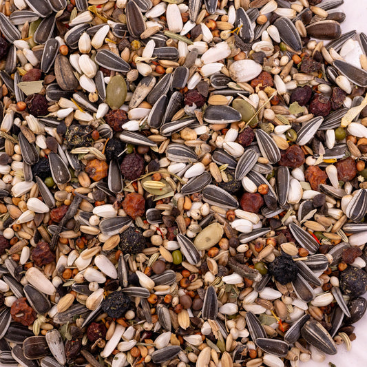 Kräuterapotheke Graupapagei – 500 g