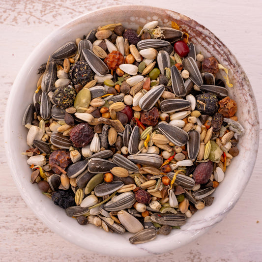 Kräuterapotheke Graupapagei – Papageienfutter mit Kräutern und Beeren