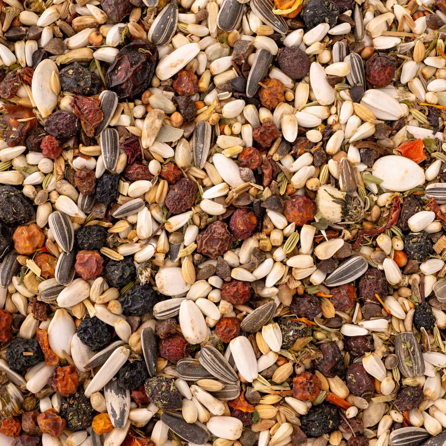 Edelpapagei-Körnermischung mit Gemüse und Kräutern – Papageienfutter