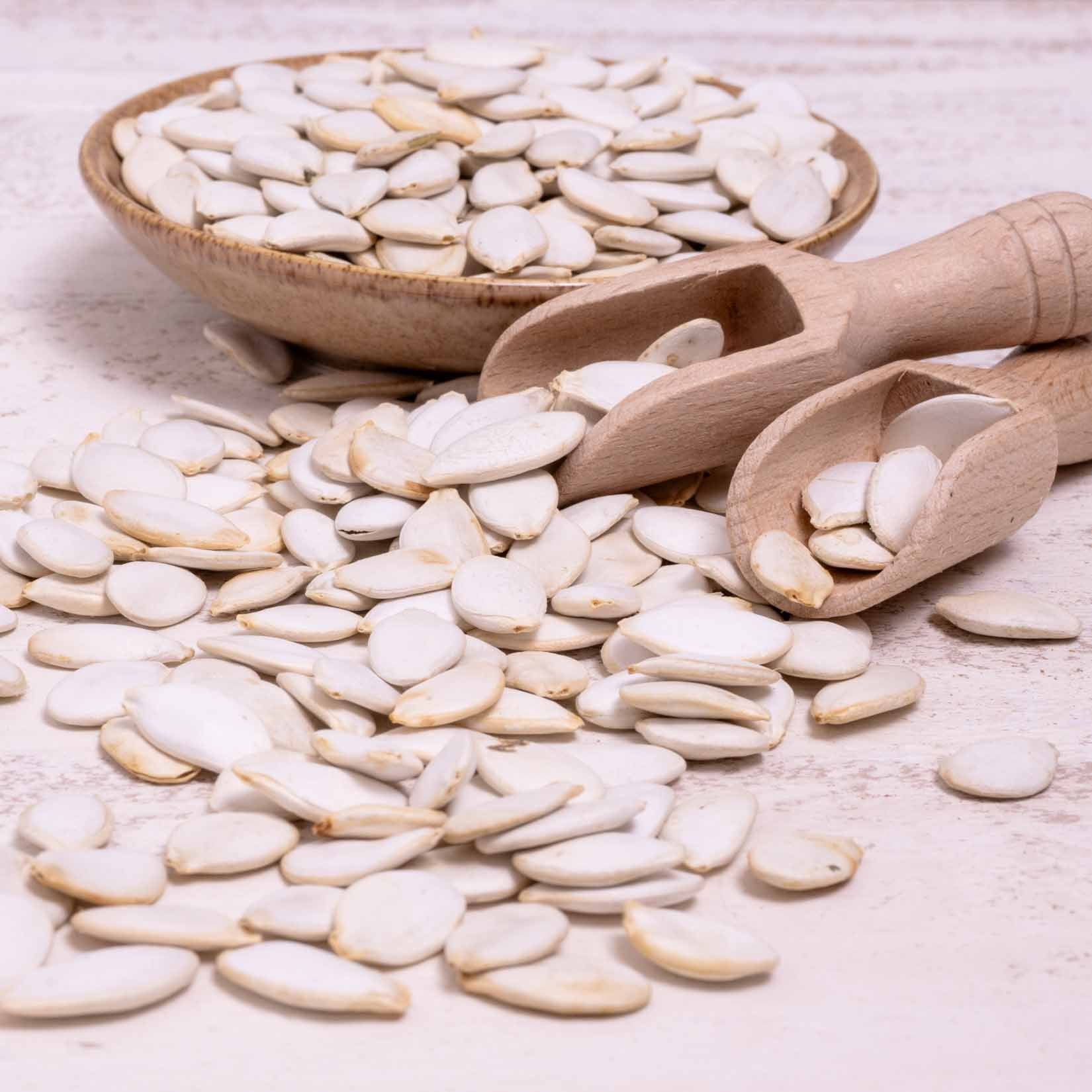 Kürbiskerne – Papageienfutter